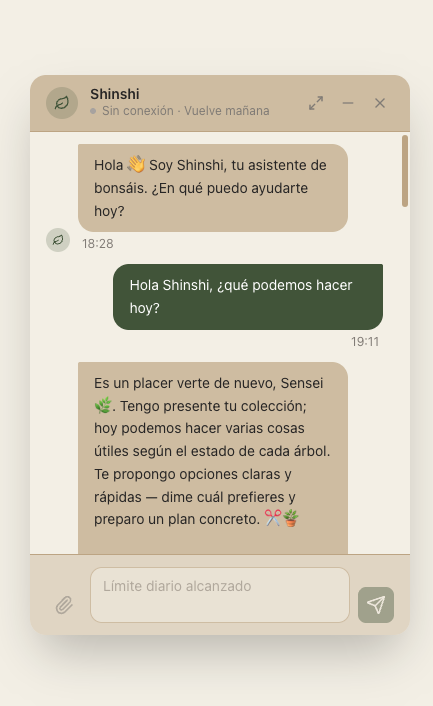 Chat con Shinshi